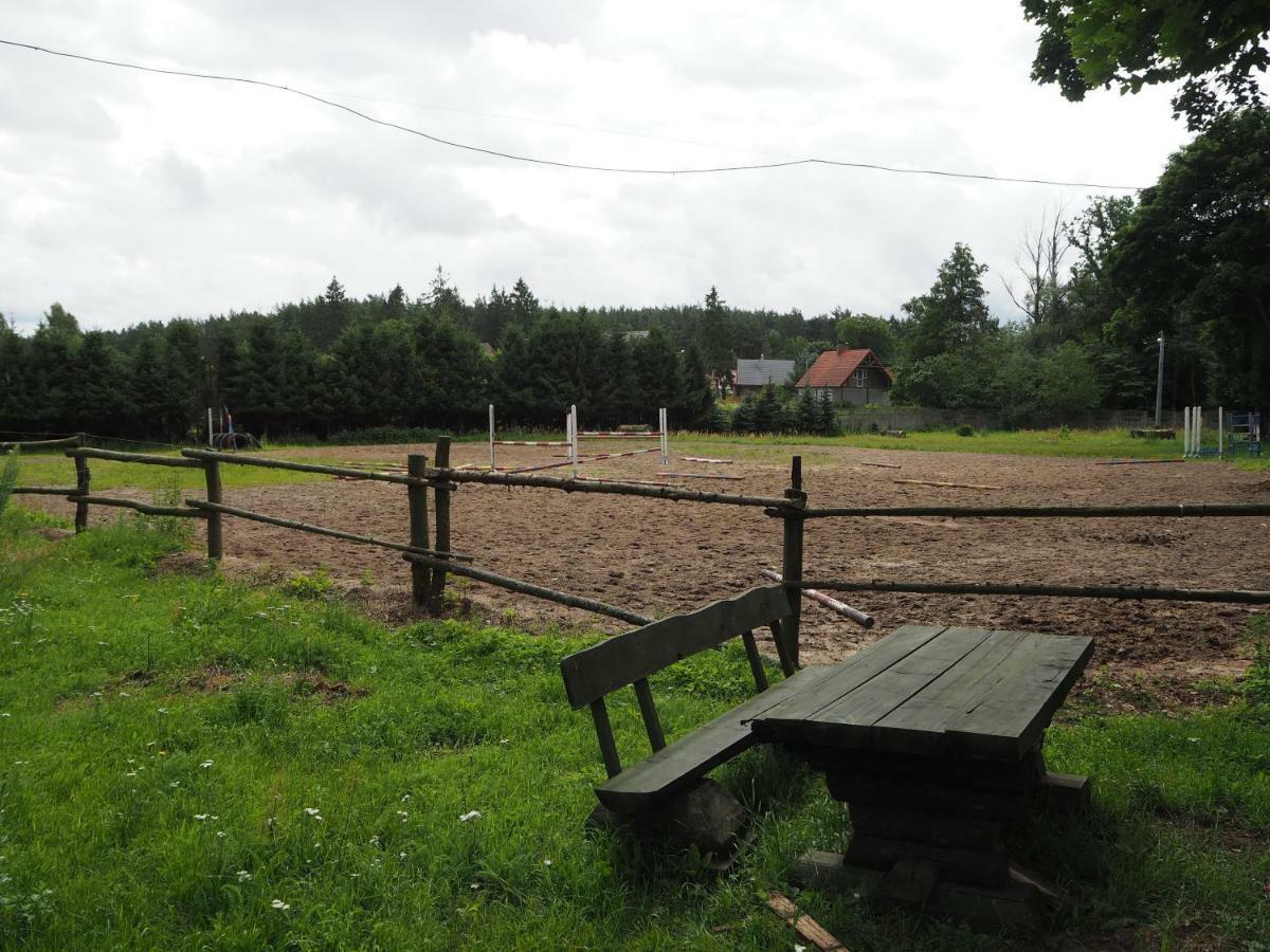 Stadnina Lekwica Kültér fotó